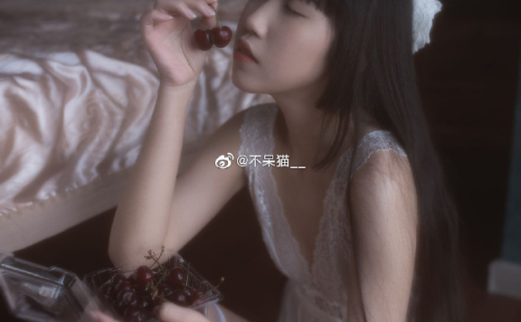 不呆猫图包资源，不呆猫最新作品